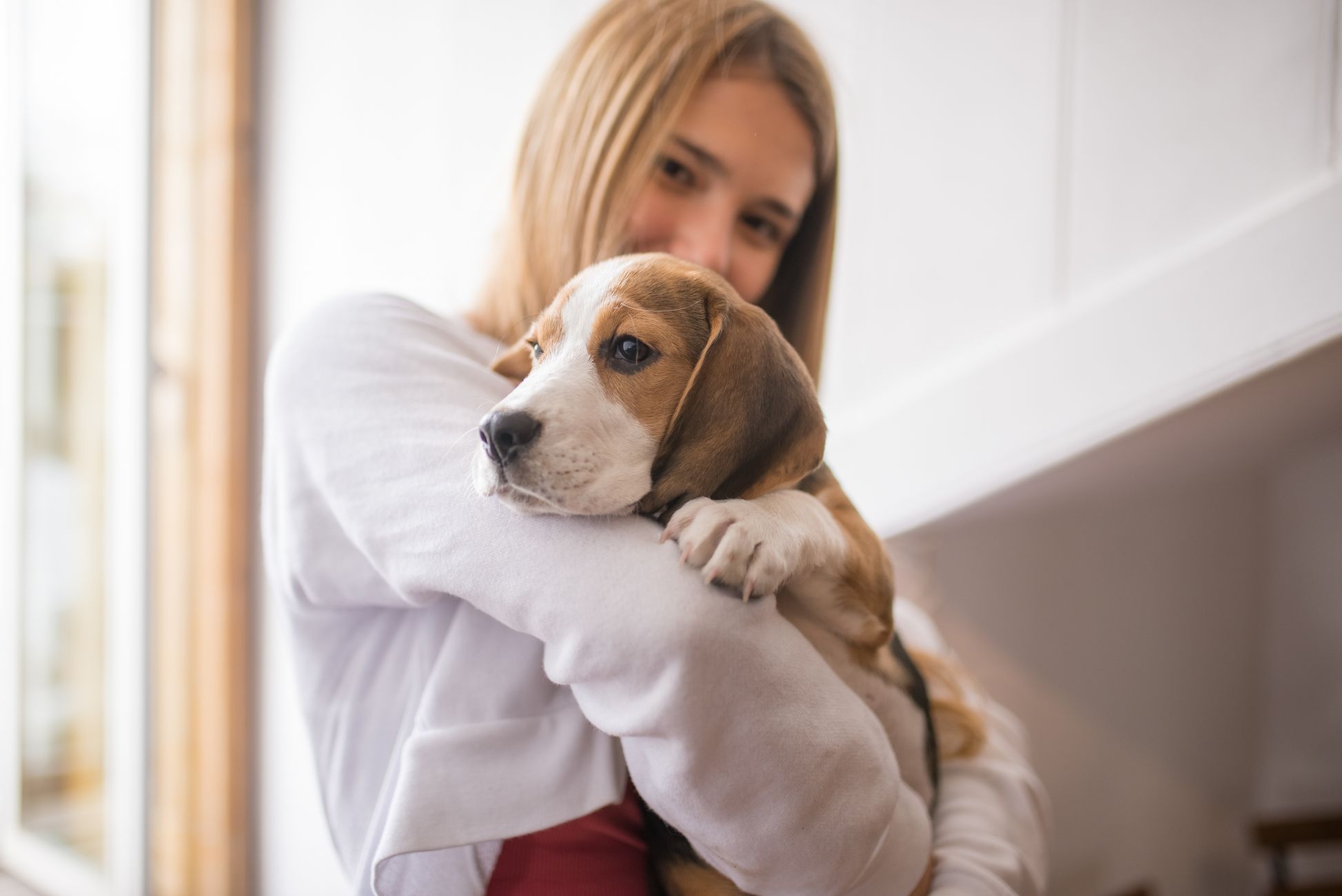 Cleos.de, Tierversicherung Deutschland, Hundeversicherung, Katzenversicherung, Tierkrankenversicherung, Schutz vor Tierarztkosten, günstige Tierversicherung, Vorteile einer Tierversicherung, Sicherheit für Tierhalter, moderne Tierversicherungen
