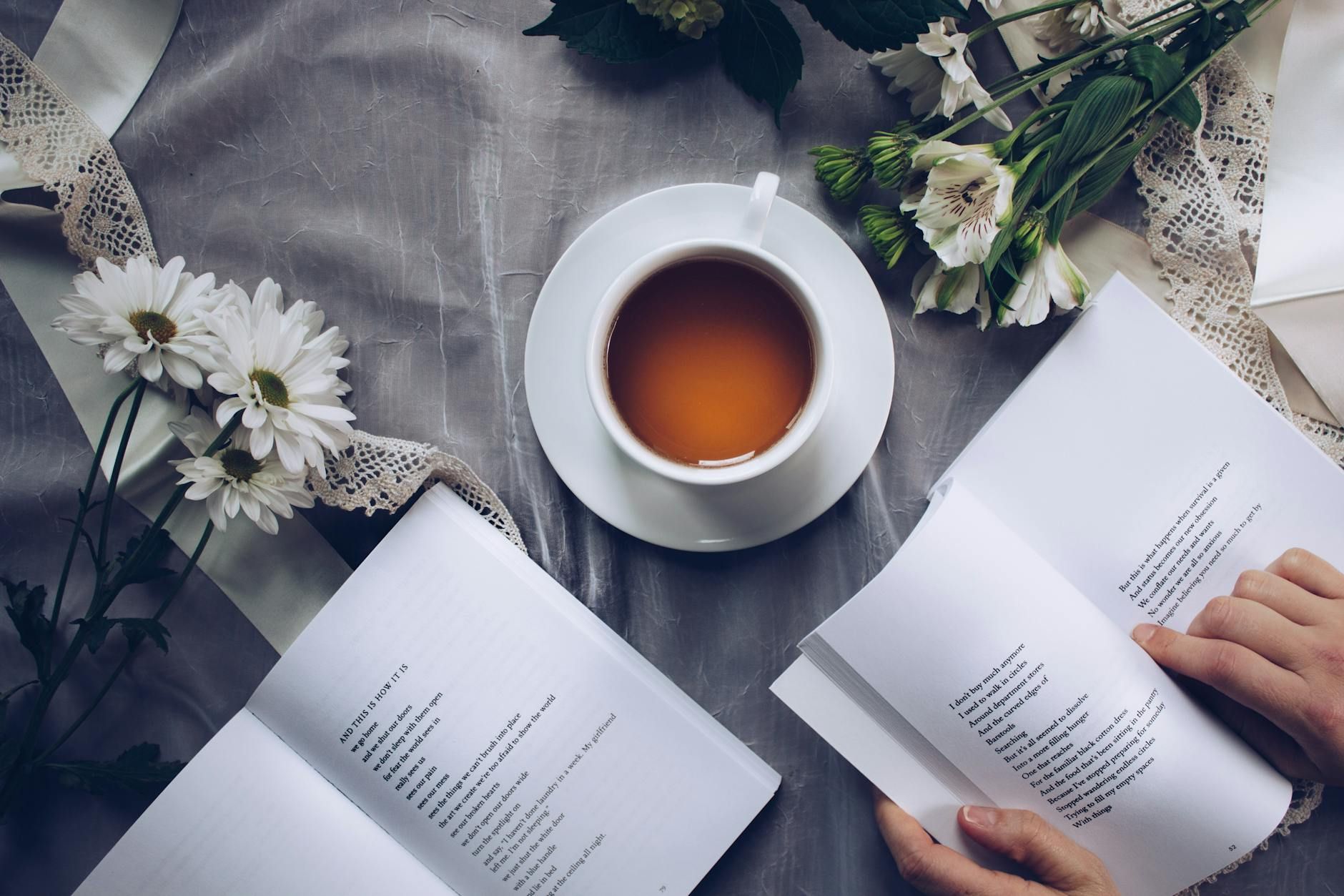 Thalia, Bücher, Spiele, Geschenke, Buchhandlung, Online-Shop, Lesefreude, Geschenkideen, Neuerscheinungen, Bestseller