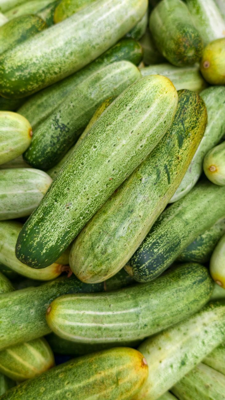 Weniger Abfall, mehr Gemüse: Geniale Werkzeuge für gesünderes Kochen
